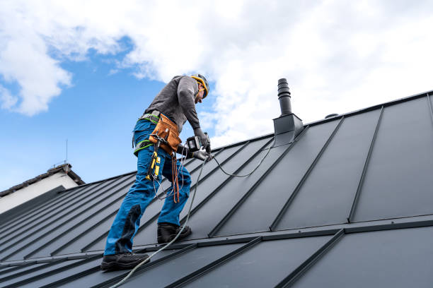 Best Skylight Installation and Repair  in North Charleston, SC