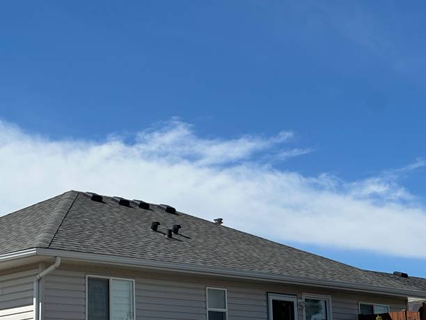 Professional Roofing Services in North Charleston, SC