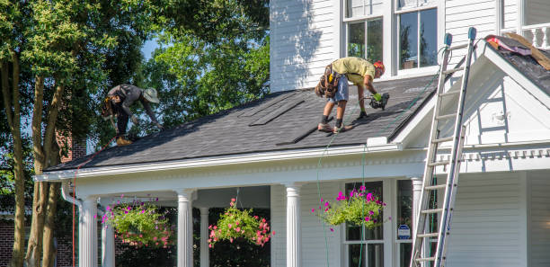 Best Roof Moss and Algae Removal  in North Charleston, SC